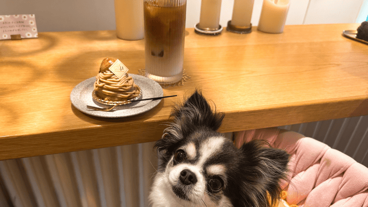 サロン・ド・ミュー