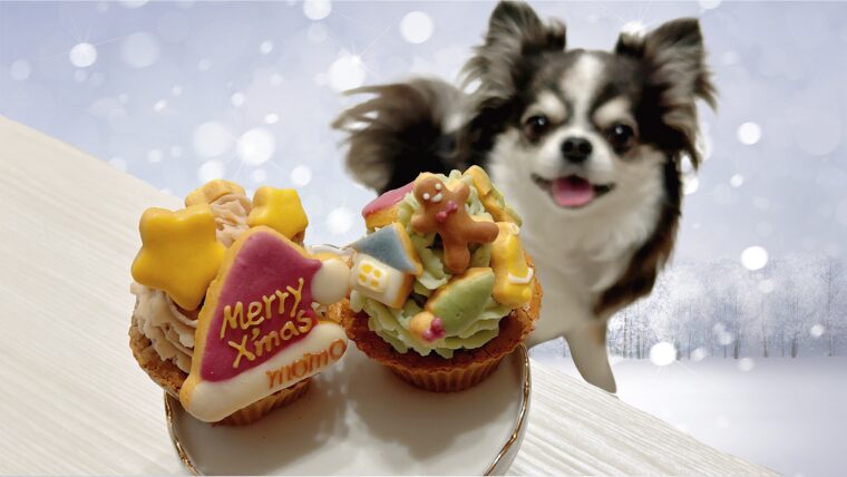 犬 クリスマス 正月