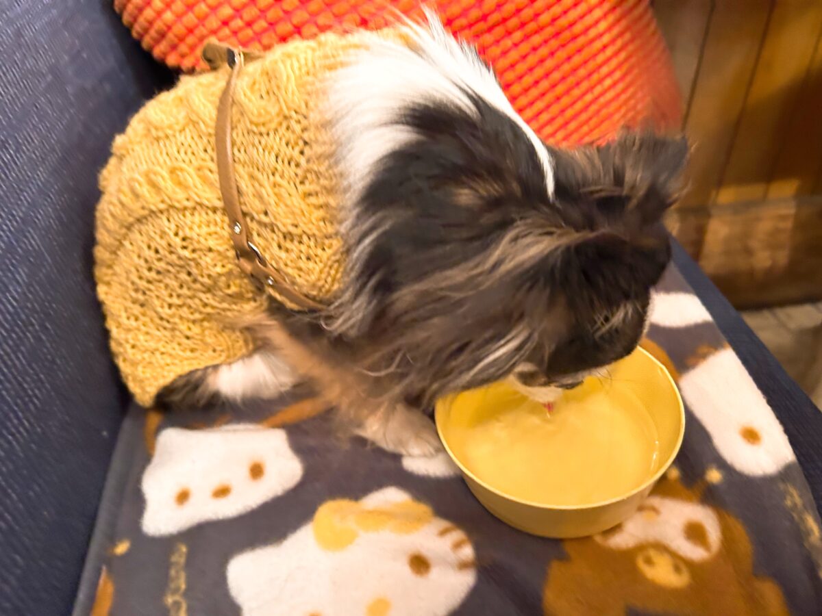 自由が丘 カスタネット