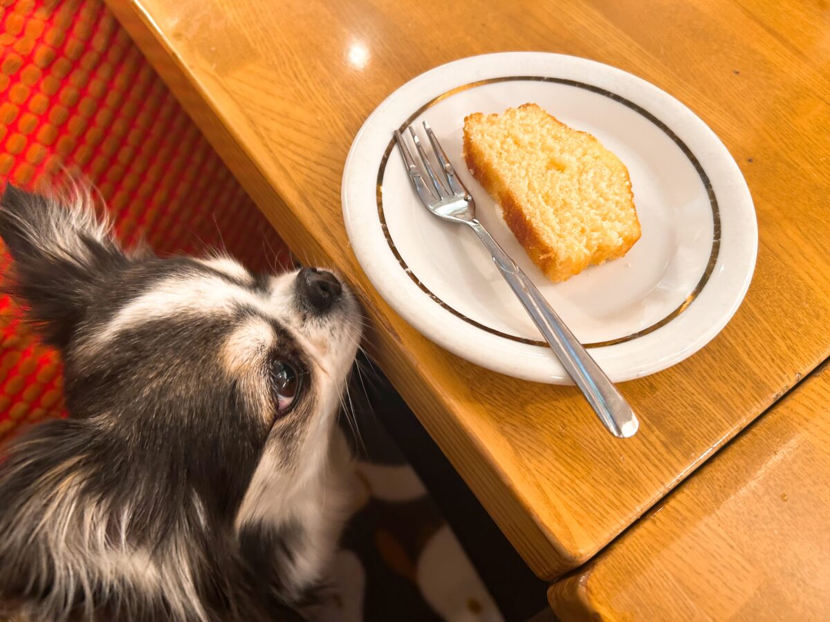 自由が丘 カスタネット