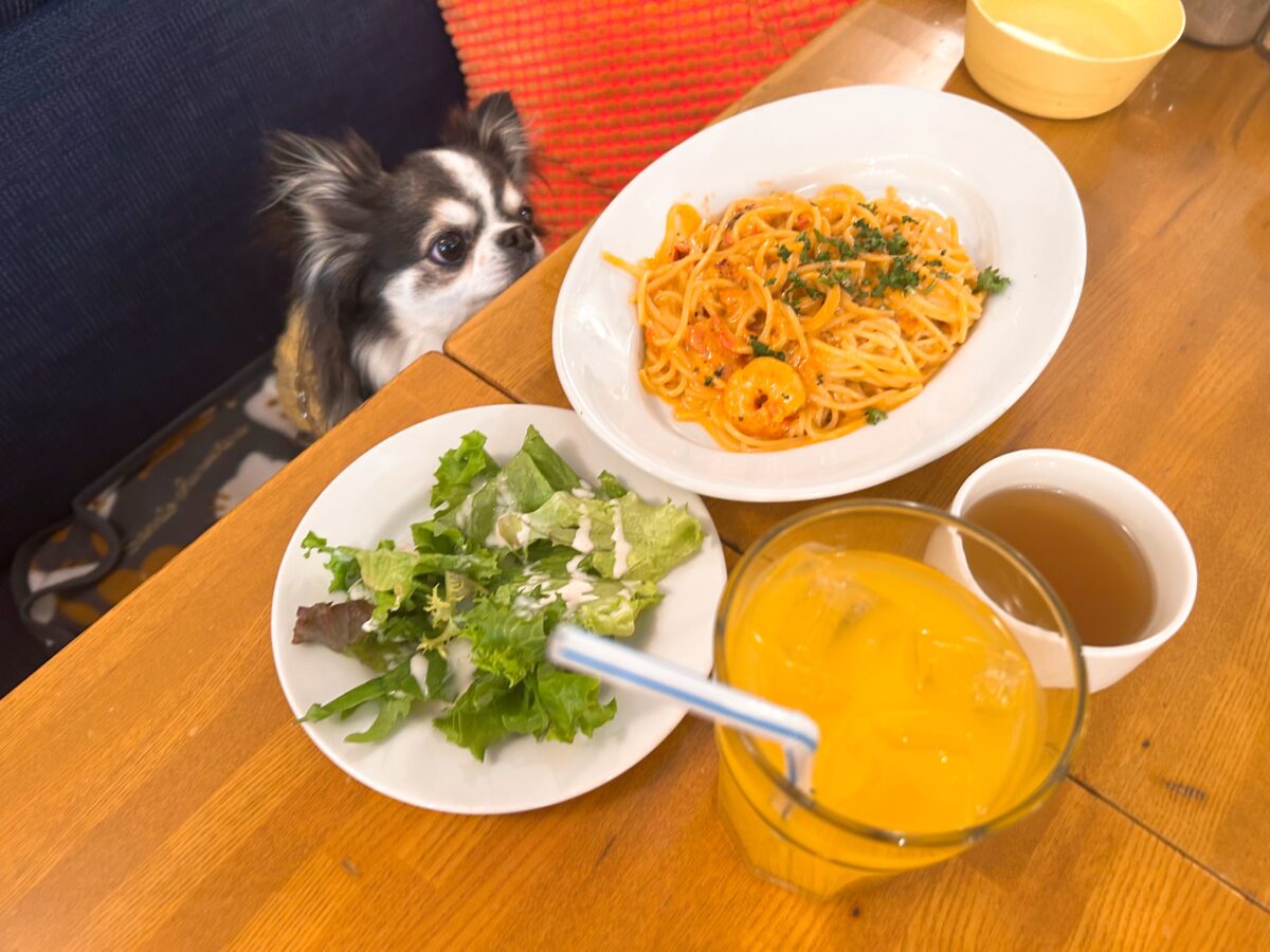 自由が丘 カスタネット