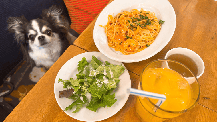 自由が丘 カスタネット