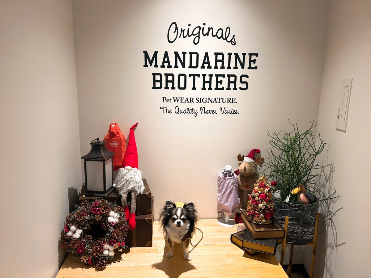 マンダリンブラザーズカフェ