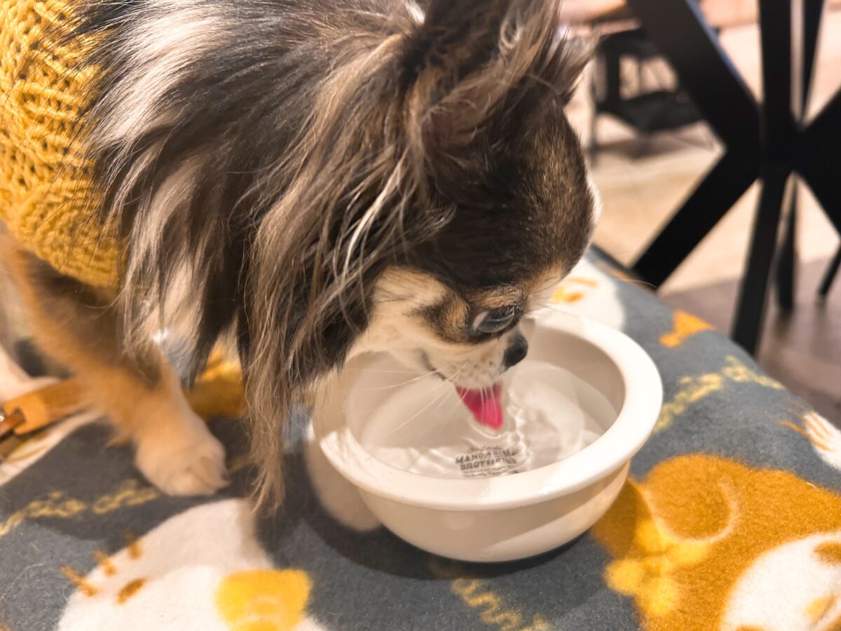 マンダリンブラザーズカフェ