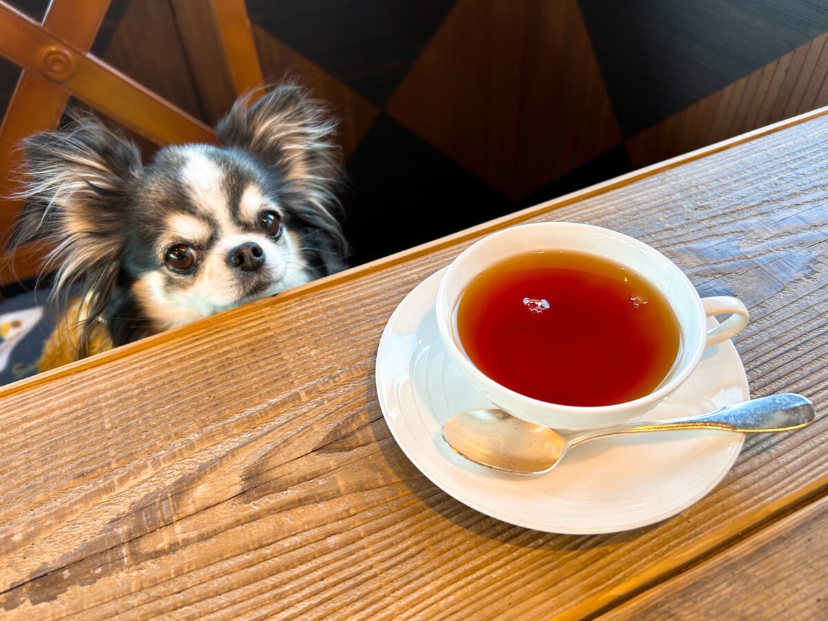 サロン・ド・テ ロザージュ