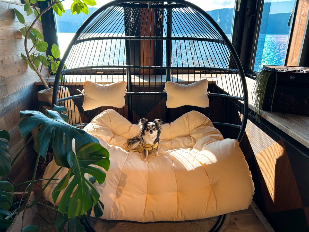 サロン・ド・テ ロザージュ