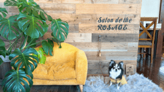 【店内犬OK】元箱根港「サロン・ド・テ ロザージュ」に行ってきました