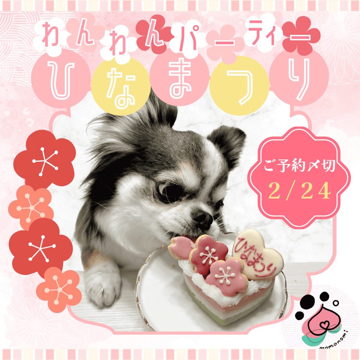 犬 ケーキ ひな祭り