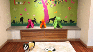 【犬同宿OK】元箱根ルチアに宿泊しました