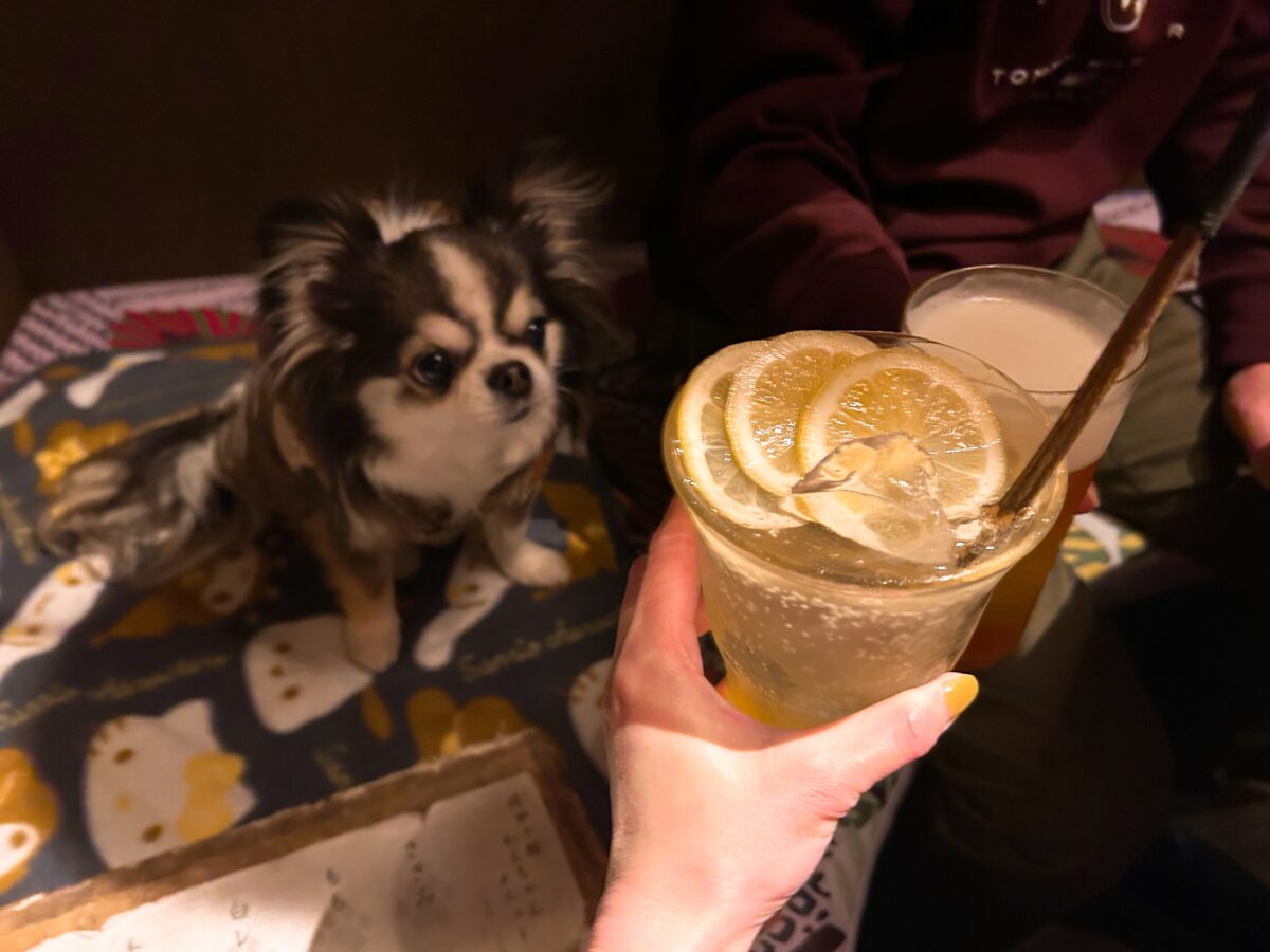 佐田十郎 中目黒店