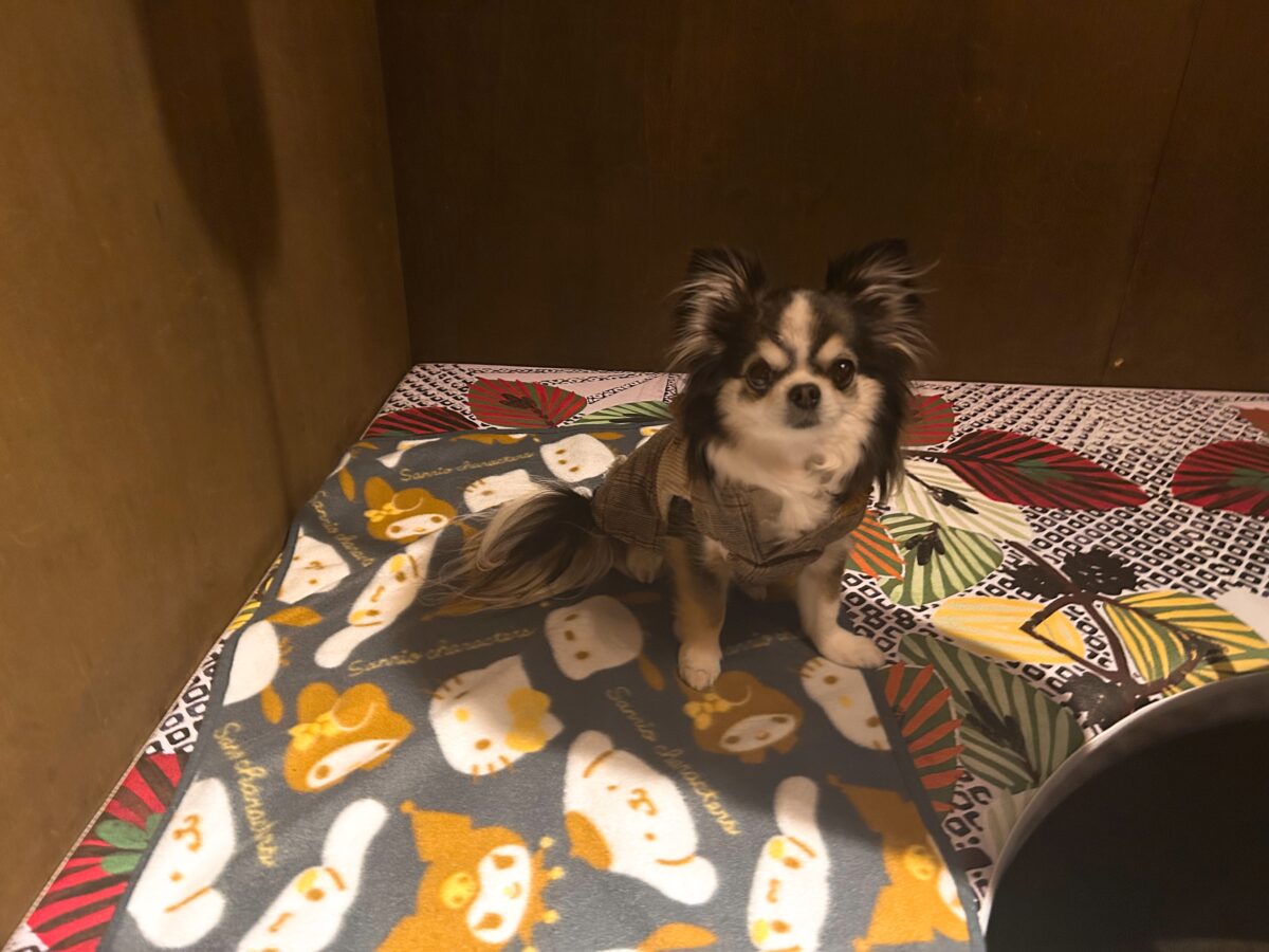 佐田十郎 中目黒店