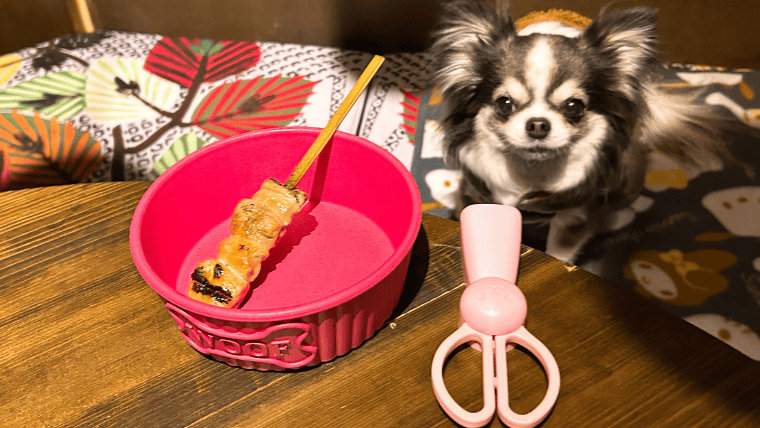 【店内犬OK】中目黒「佐田十郎」に行ってきました