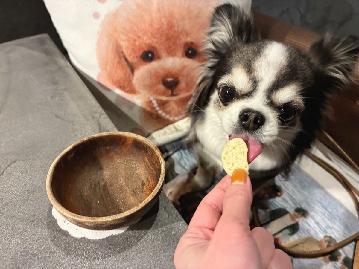 ドギースイートペロ