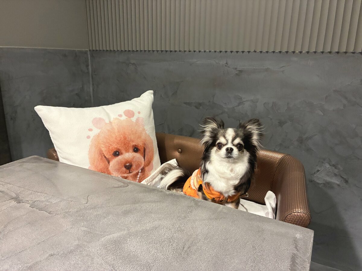 ドギースイートペロ