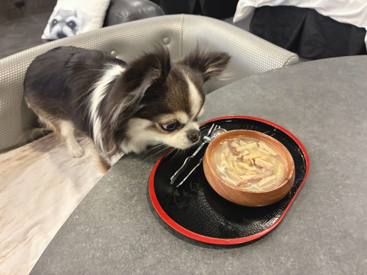 ドギースイートペロ