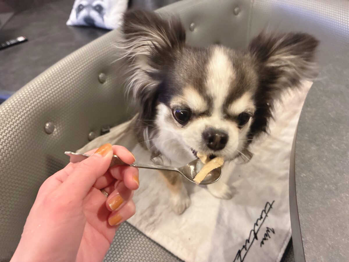 ドギースイートペロ