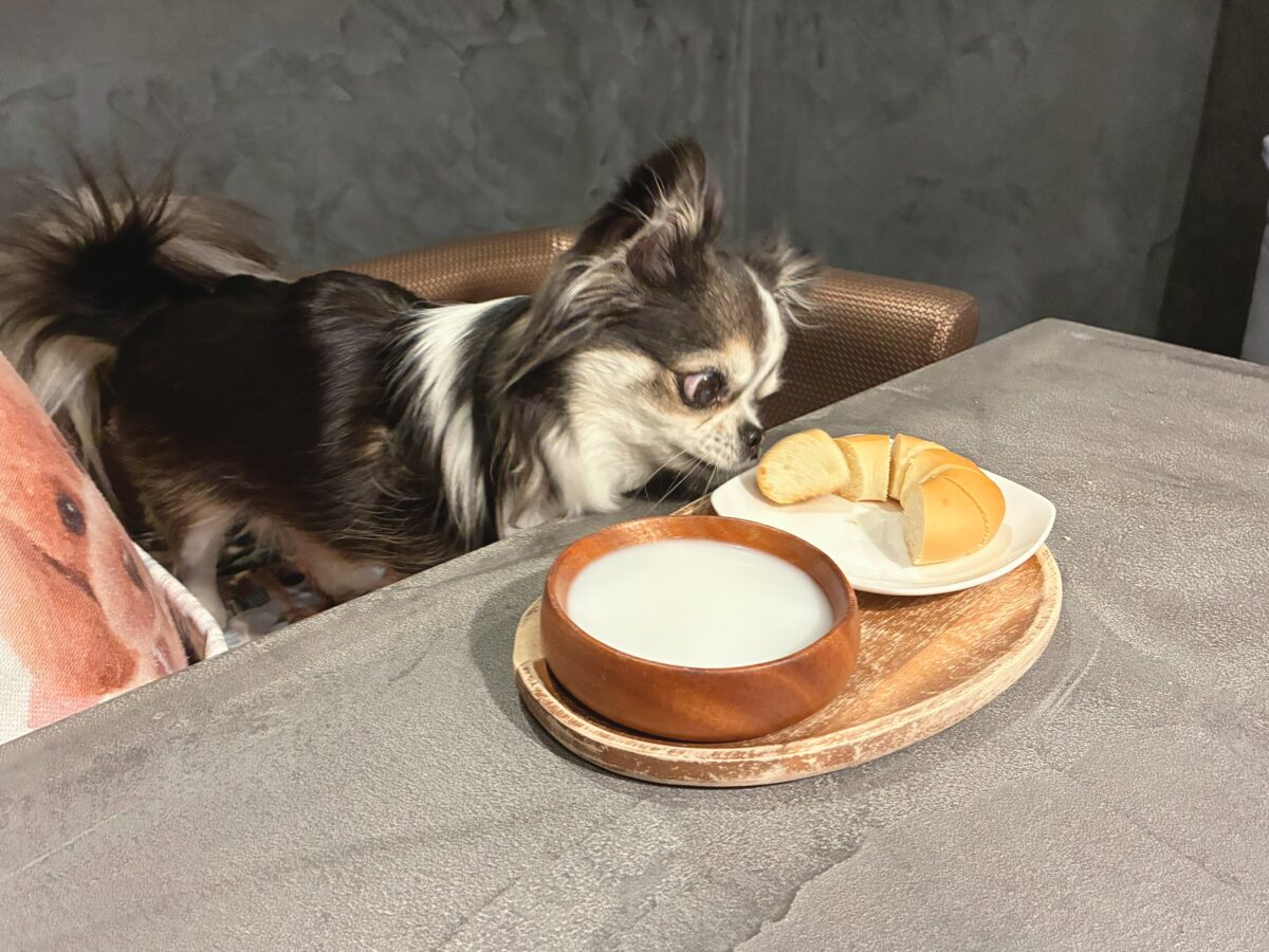 ドギースイートペロ