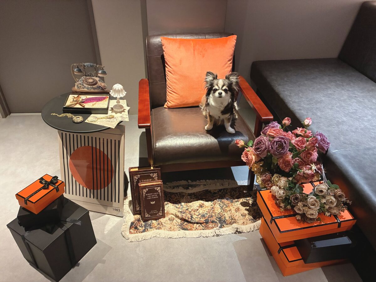 ドギースイートペロ