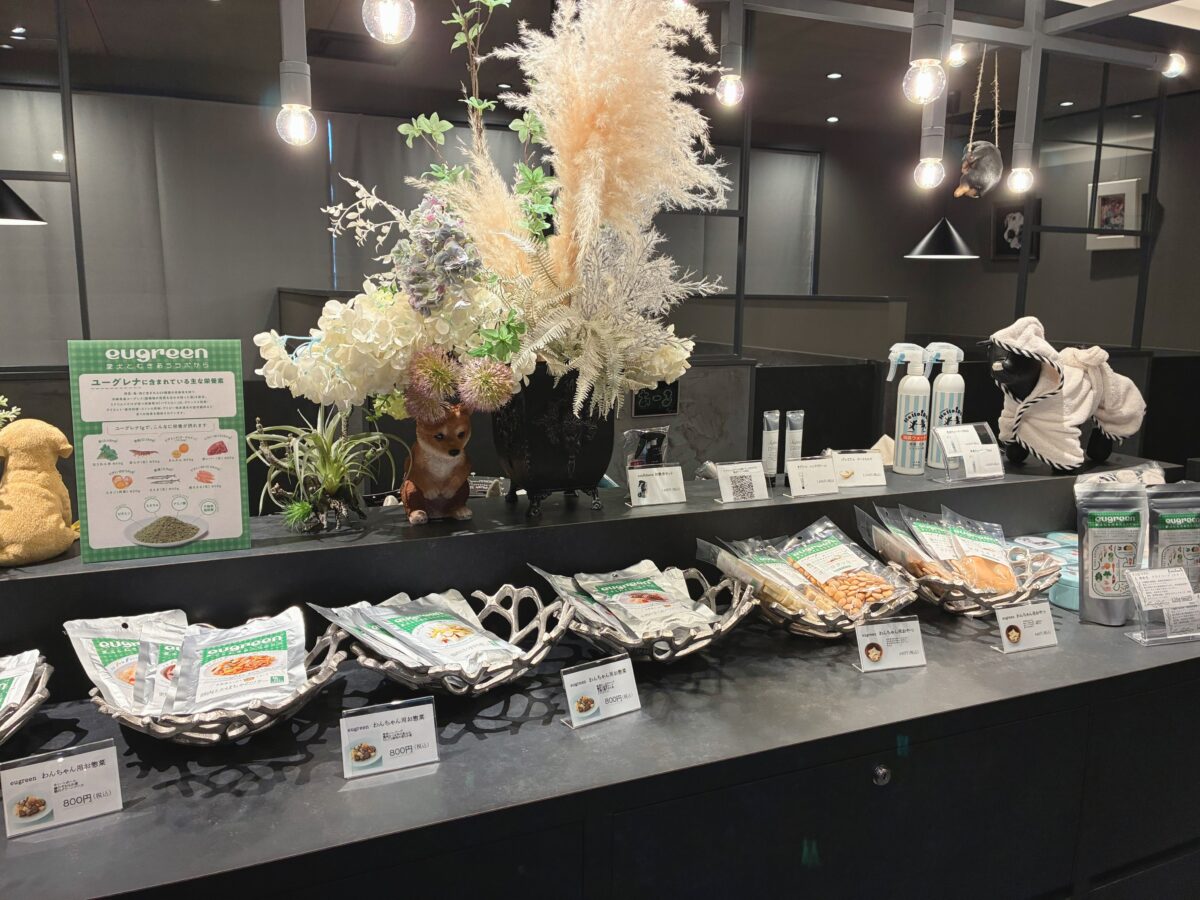 ドギースイートペロ