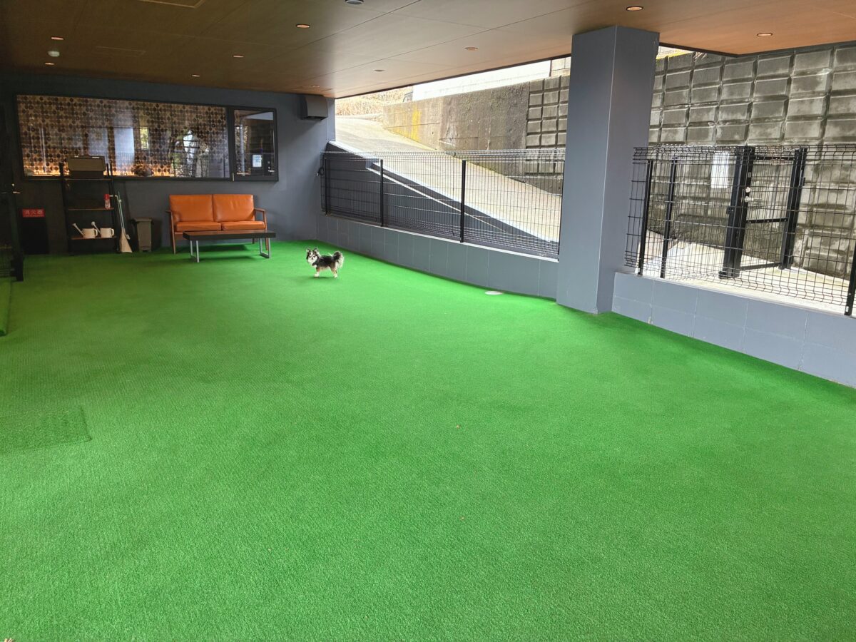 ドギースイートペロ