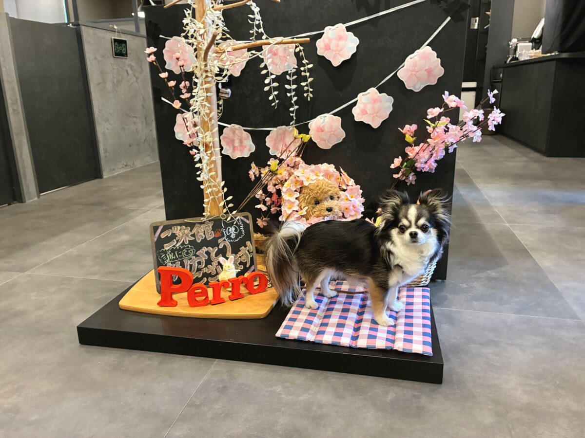 ドギースイートペロ