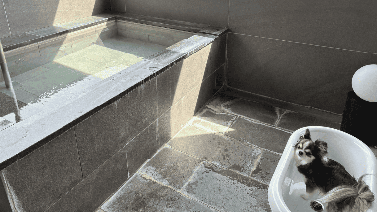 【犬同宿OK】Doggyスイートペロに宿泊しました