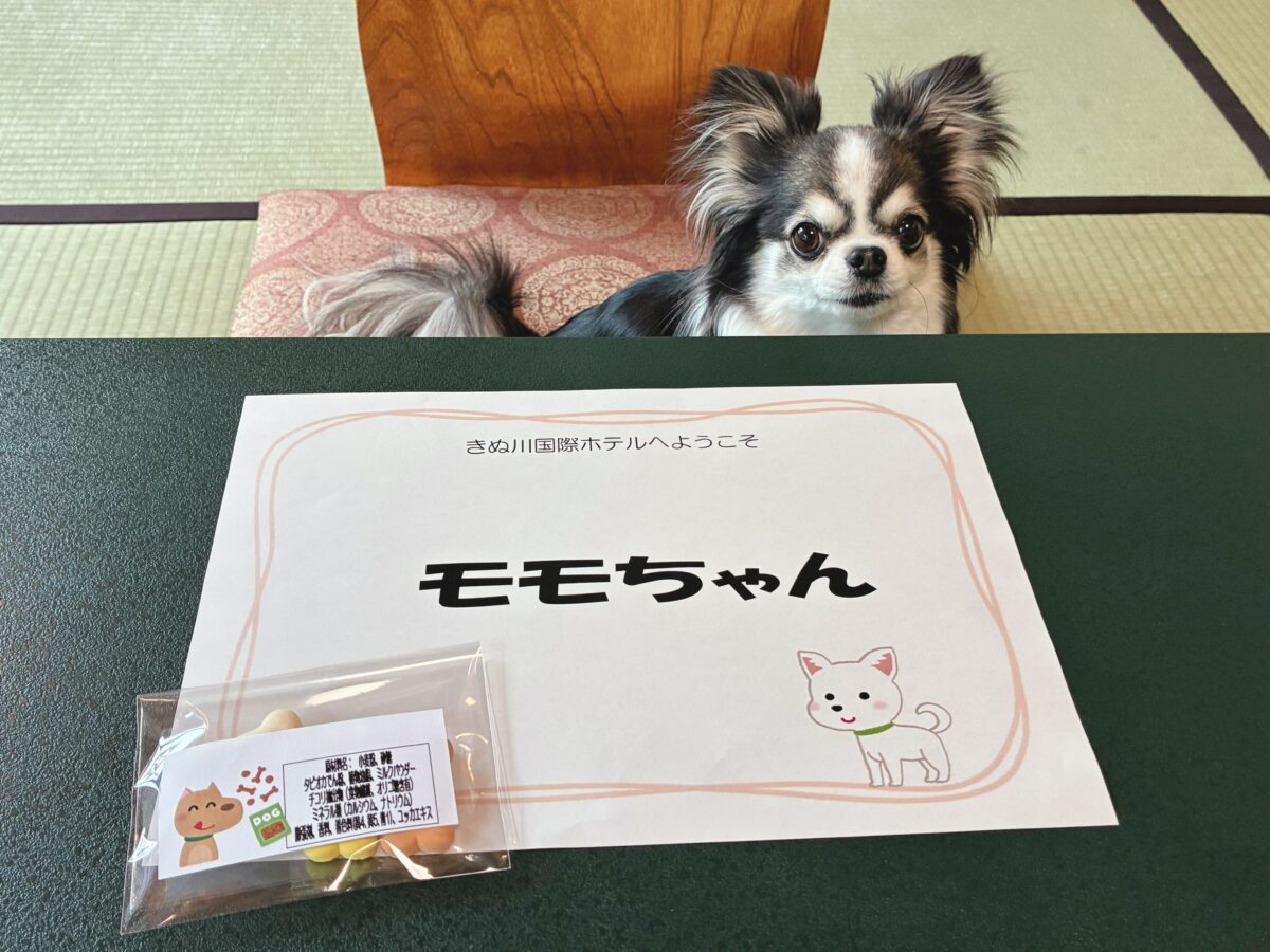 きぬ川国際ホテル