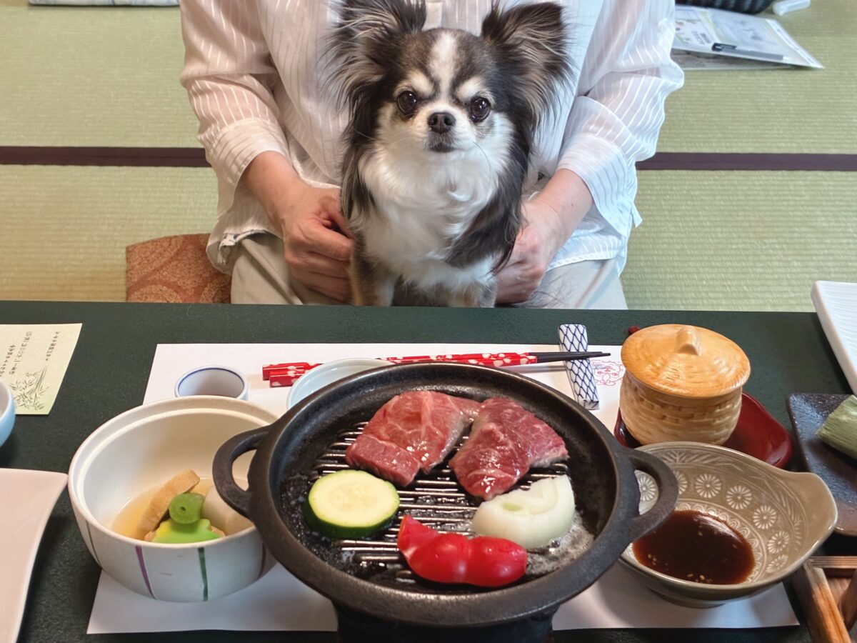 きぬ川国際ホテル
