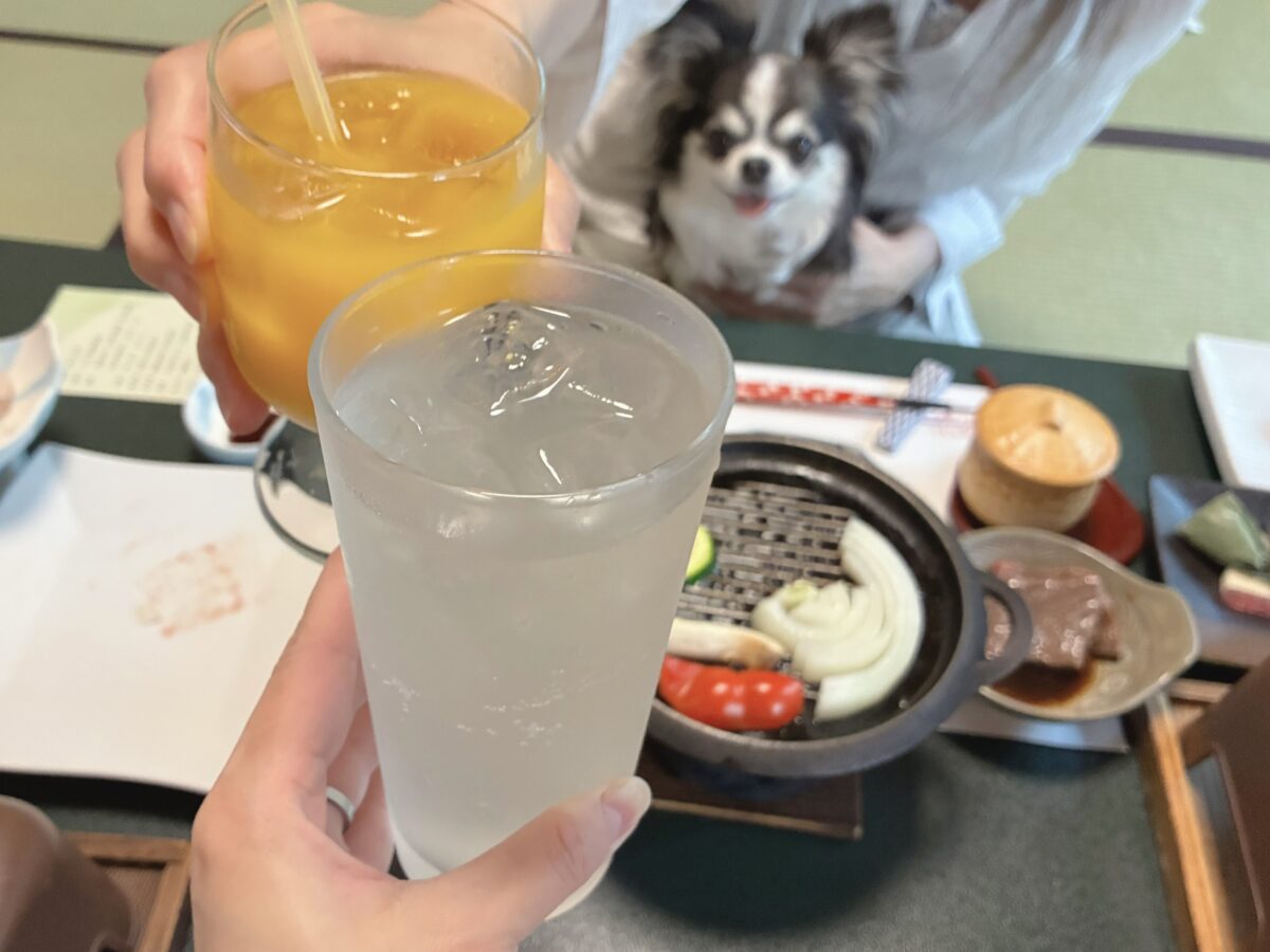 きぬ川国際ホテル