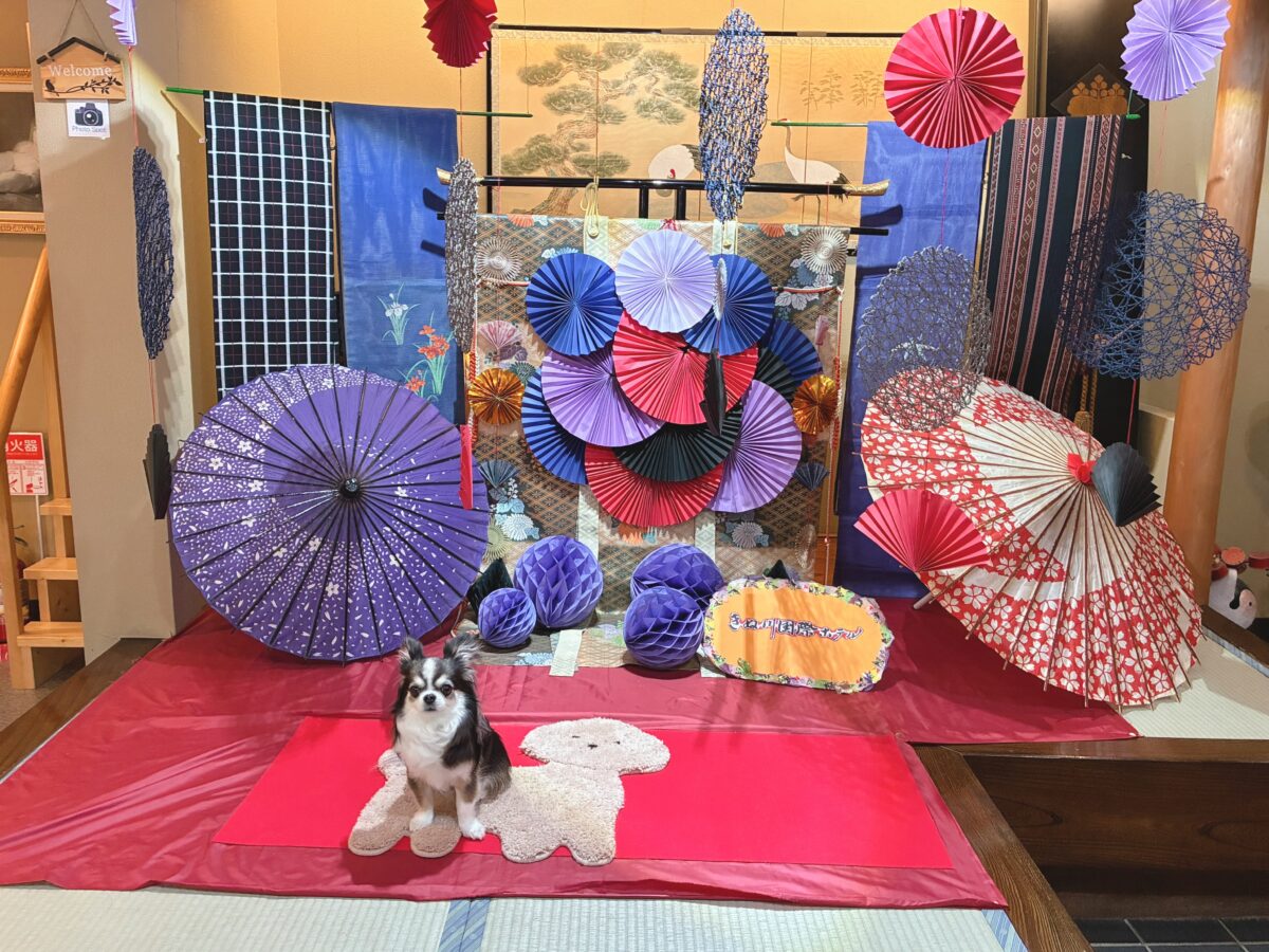 きぬ川国際ホテル