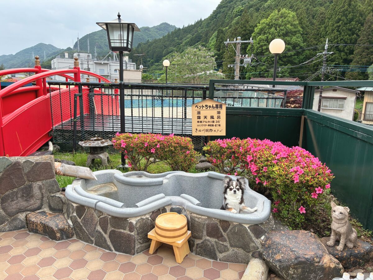 きぬ川国際ホテル