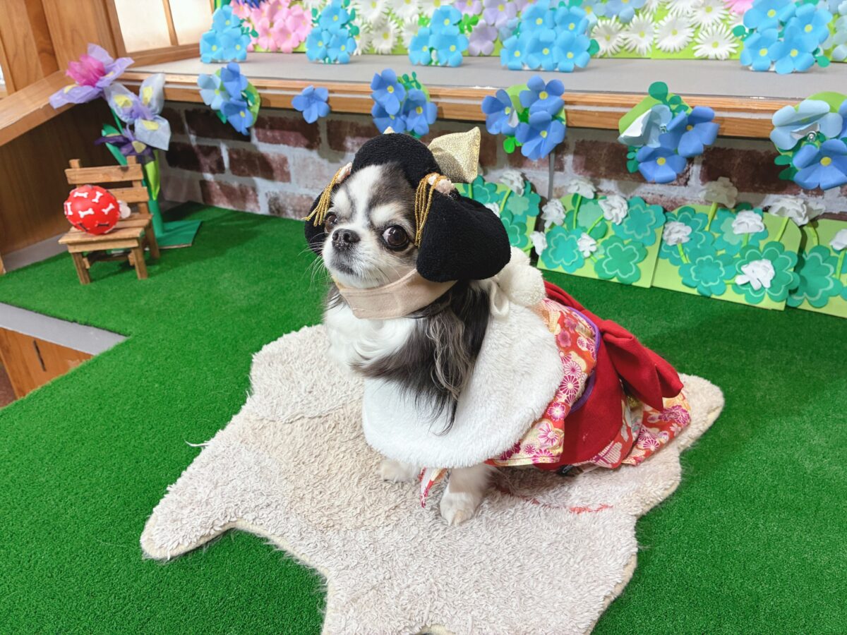 きぬ川国際ホテル