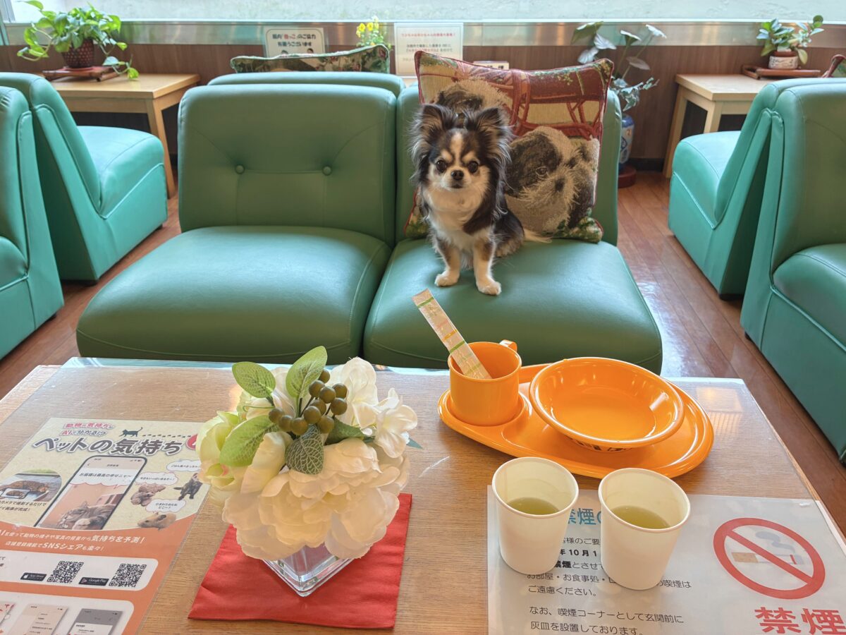 きぬ川国際ホテル