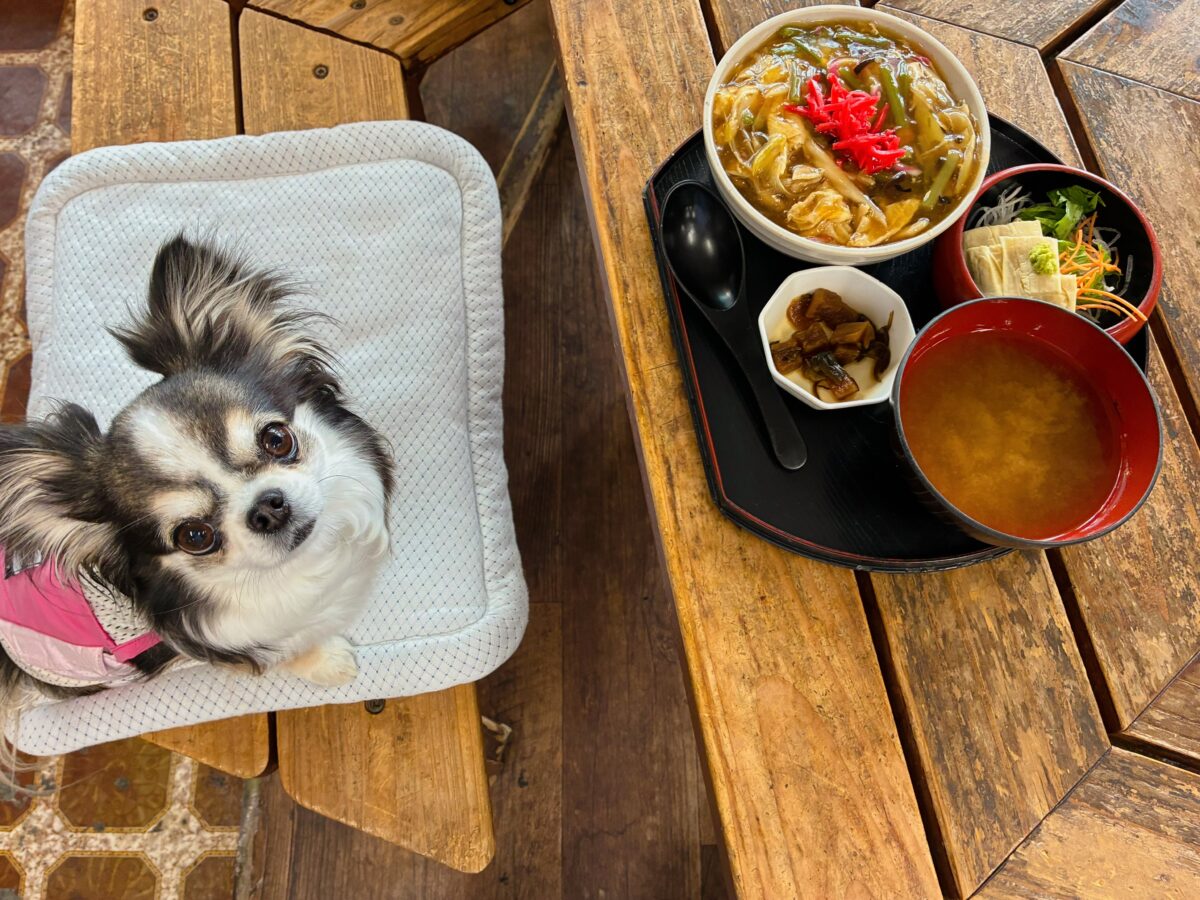 日光まるひで食堂本店