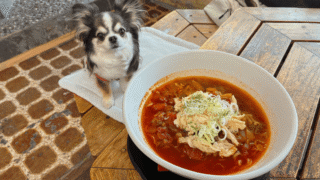 【店内犬OK】日光「まるひで食堂本店」に行ってきました