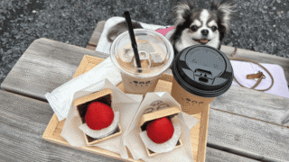 【テラス席犬OK】日光「和スイーツ専門店 日光もなか」に行ってきました