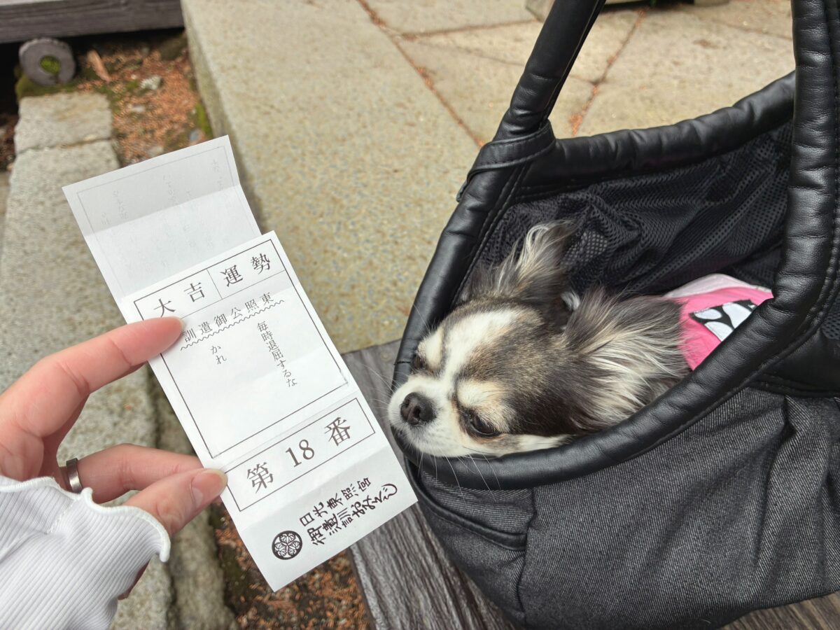 日光東照宮