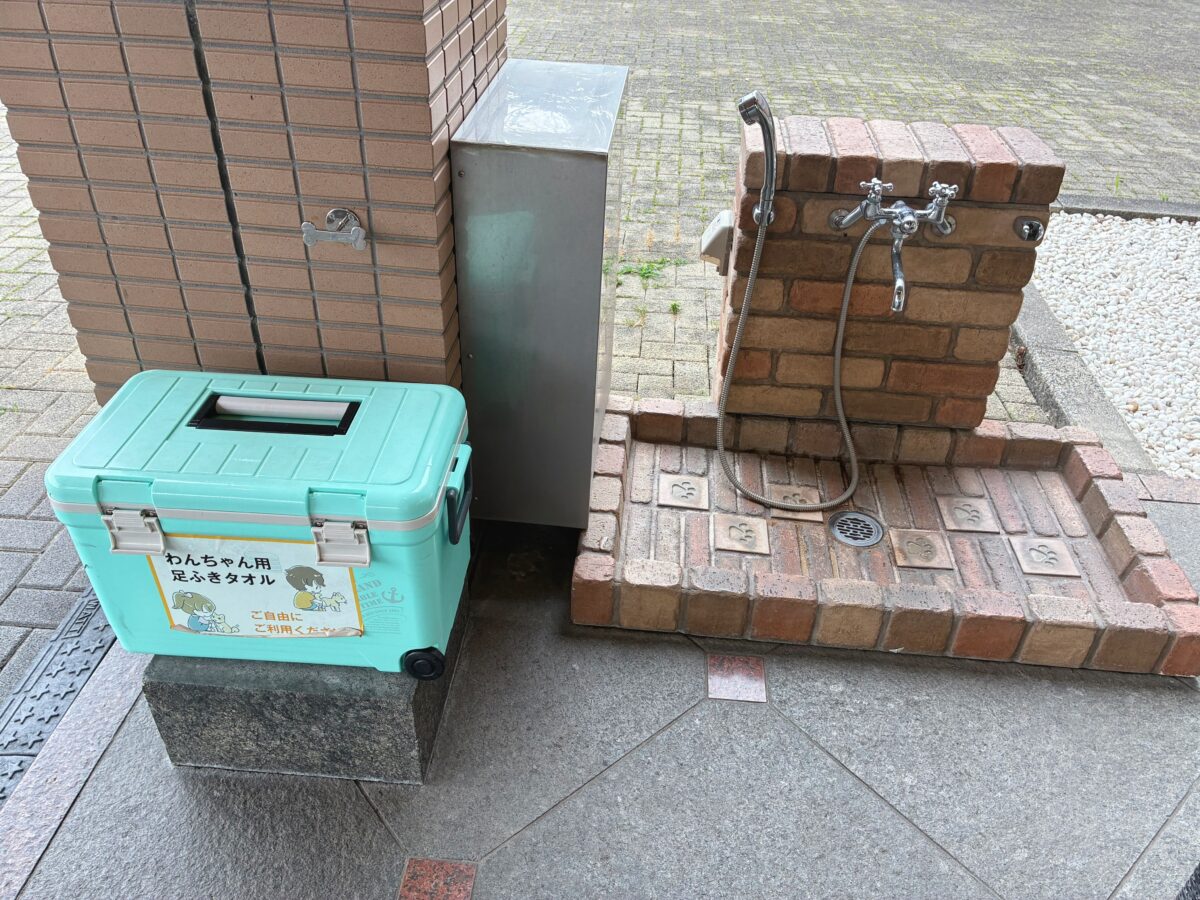 わんわんパラダイス 浜名湖