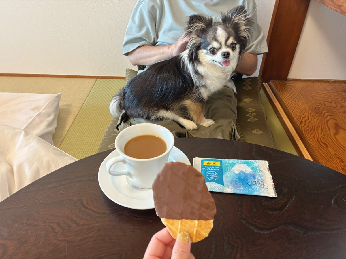 わんわんパラダイス 浜名湖