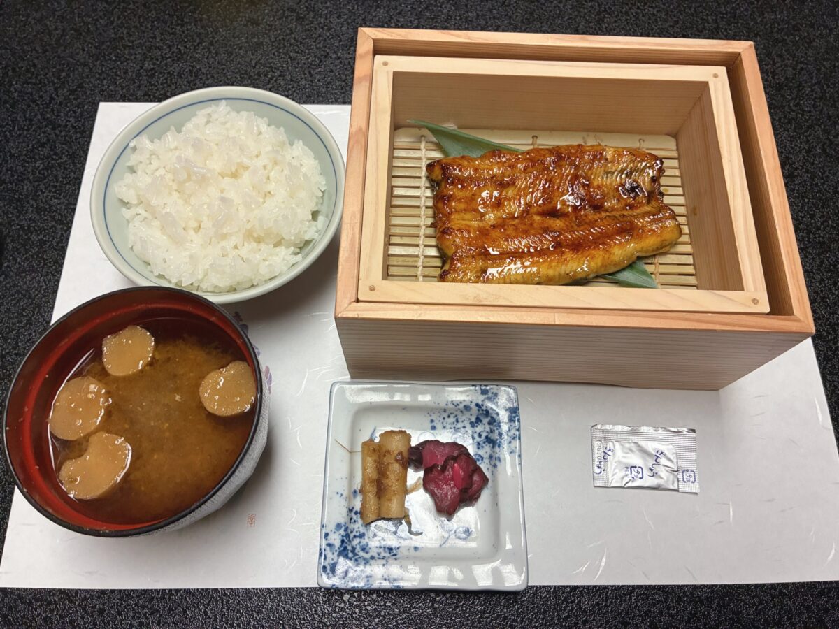 わんわんパラダイス 浜名湖