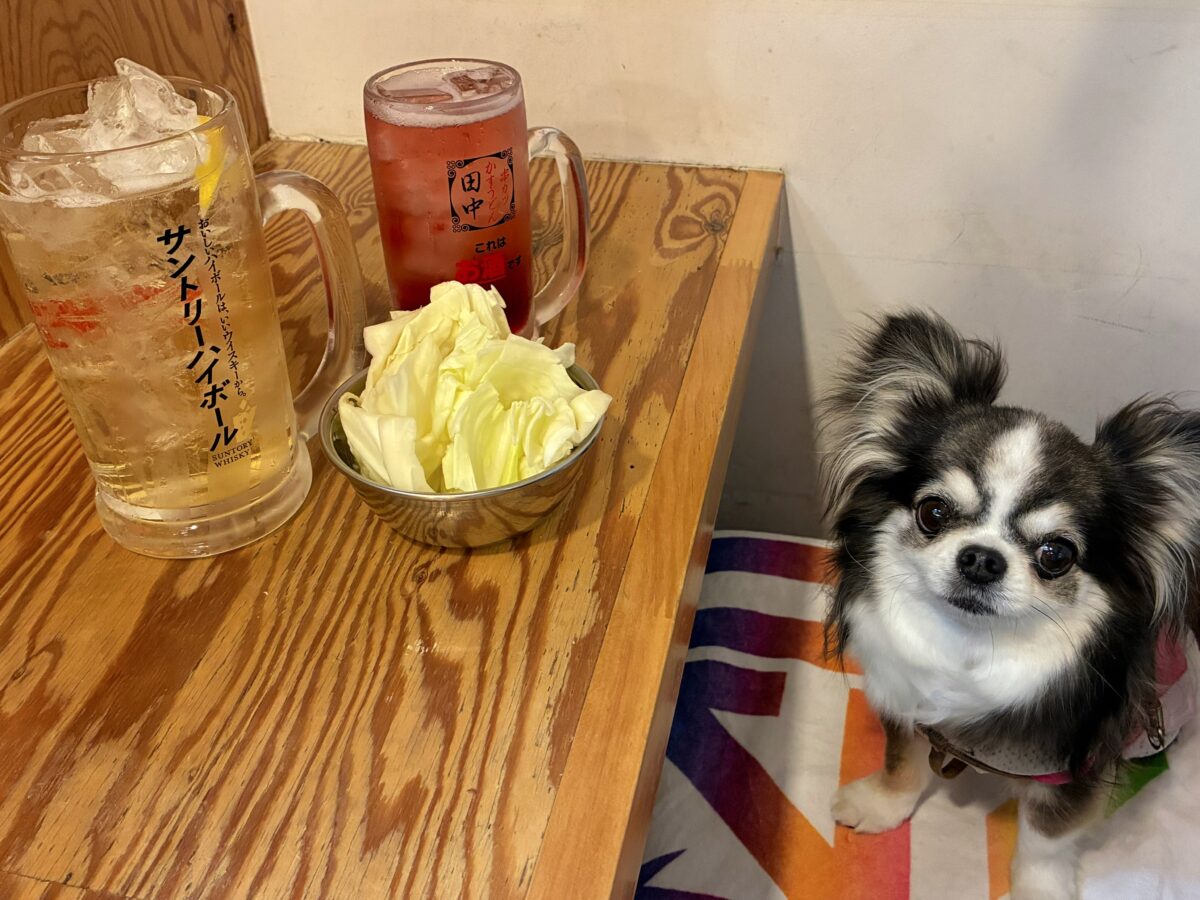 串カツ田中 中目黒店