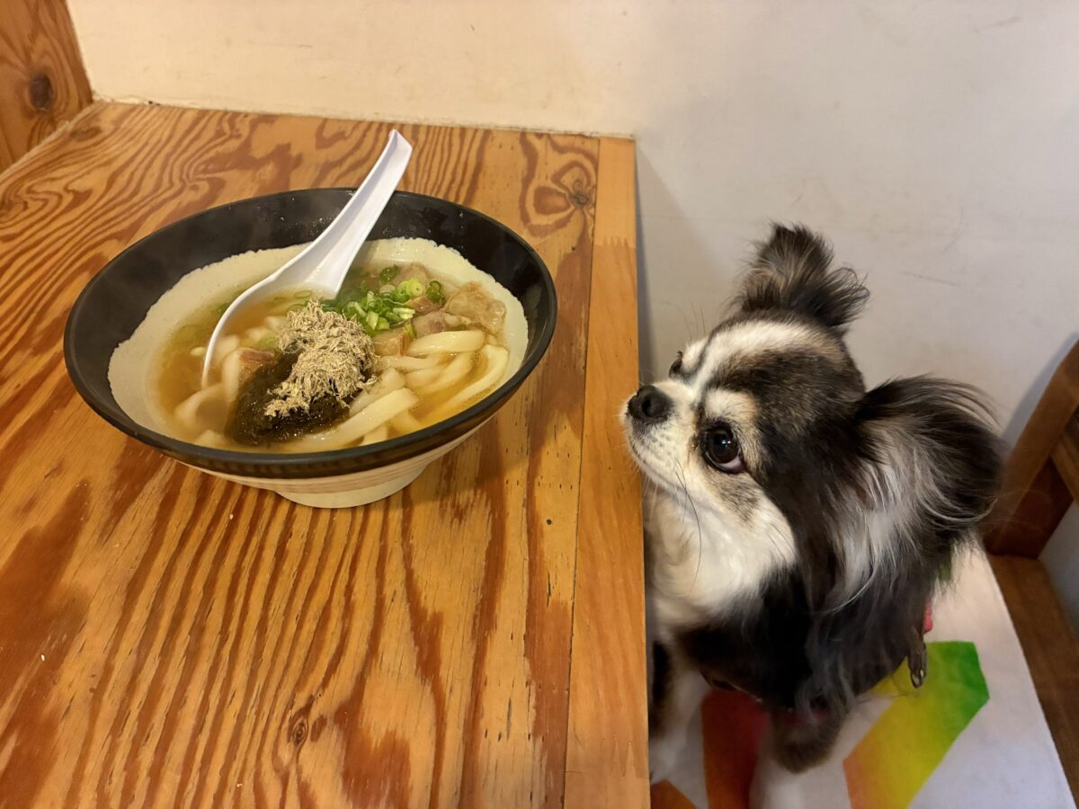 串カツ田中 中目黒店